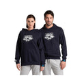 Arena ARENA HOODED SWEAT GRAPHIC Team Essential UNI ADULT
