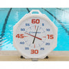 White Clock/White Face