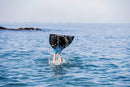 FINIS Competitor Monofin-Free Shipping Does Not Apply