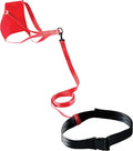 FINIS Swim Parachute