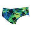Blue/Green