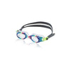 Rainbow Brights (962)