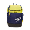 Navy/Yellow
