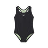 ANTHRACITE (00334)
