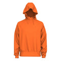 8004377_TEAM ORANGE (847)