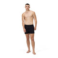 ANTHRACITE(00334)_S