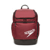 Speedo Maroon