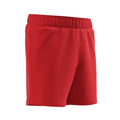 8A100385_RED (004)