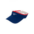 https://web.metroswimshop.com/images/800-42_Hip%20Visor.jpg