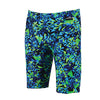 Blue/Green