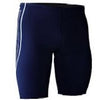 Blue/Silver