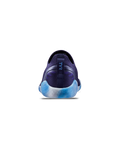 DZL1_025