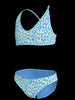 UNIVERSITY BLUE (438)