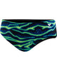Blue/Green