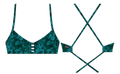 Shellabrate_XS