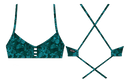 Shellabrate_XS