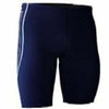 Blue/Silver