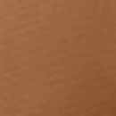 Carhartt Ashland Cap. CT106665