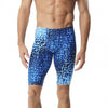 Speedo Blue (431)