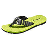 Black/Sulphur Spring