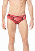 Speedo Red