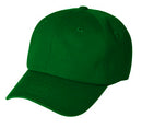 https://web.metroswimshop.com/images/Generic_Kelly Green.jpg