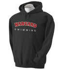 https://web.metroswimshop.com/images/HV9301.jpg